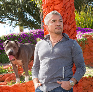 Cesar Millan, the Dog Whisperer.