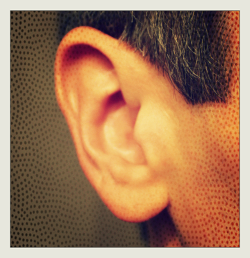 ear